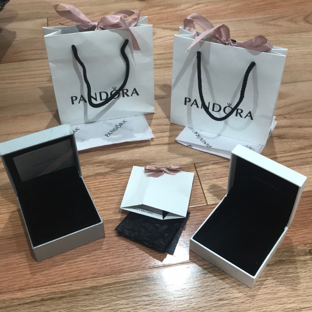 Pandora Empty Boxes, Bags, and Fold box